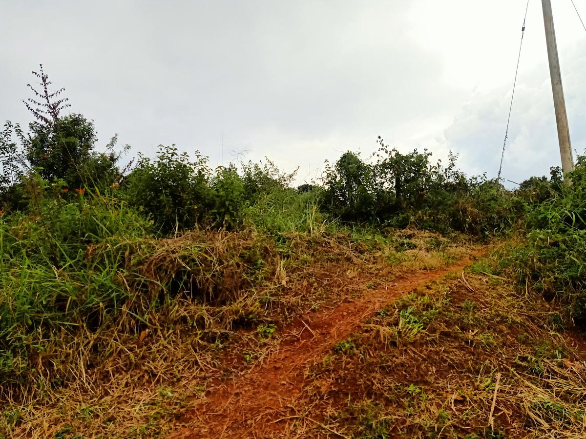 5 ac Land at Behind The New Runda Mall Along Kiambu Road - 2