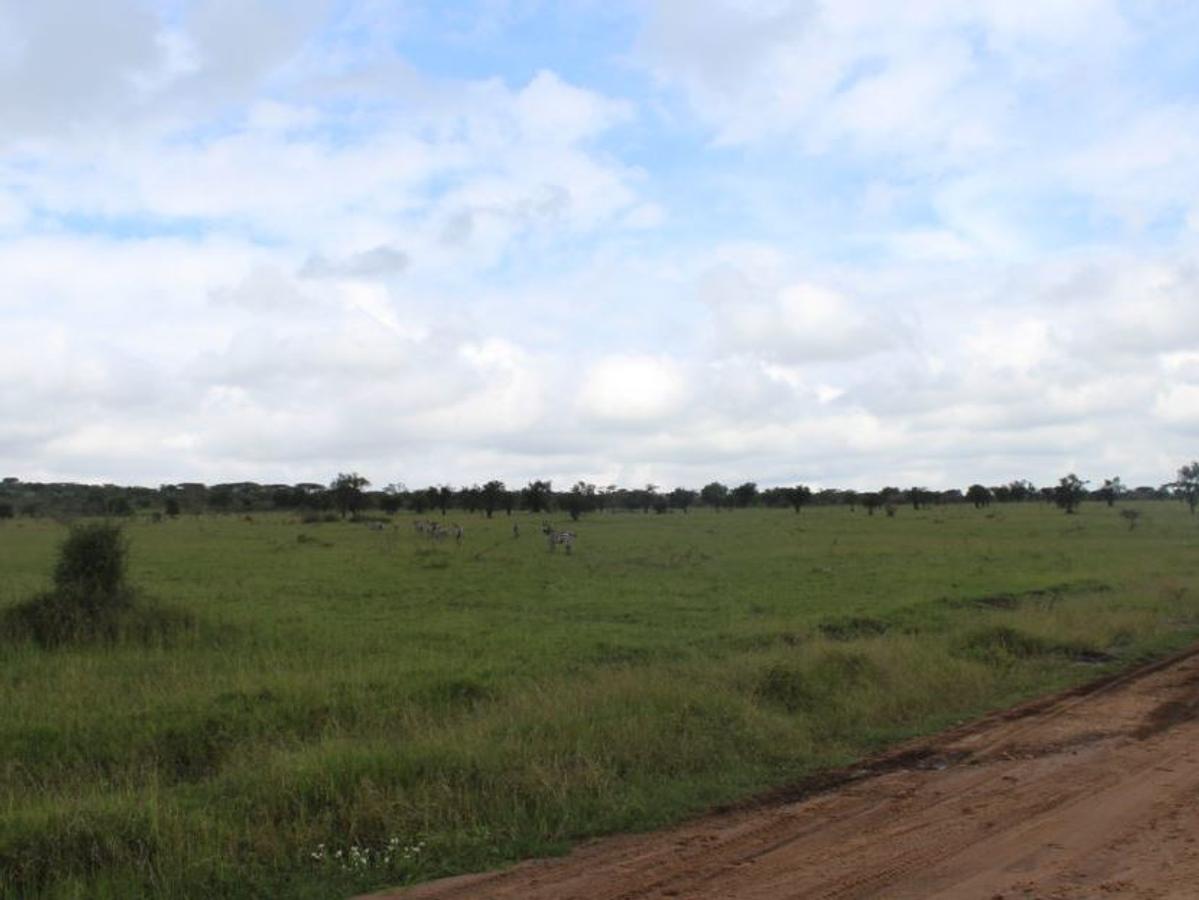 12,141 m² Commercial Land at Maanzoni Conservancy - 6