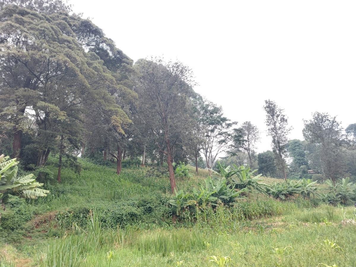 Residential Land at Kitisuru Ridge 44 - 6