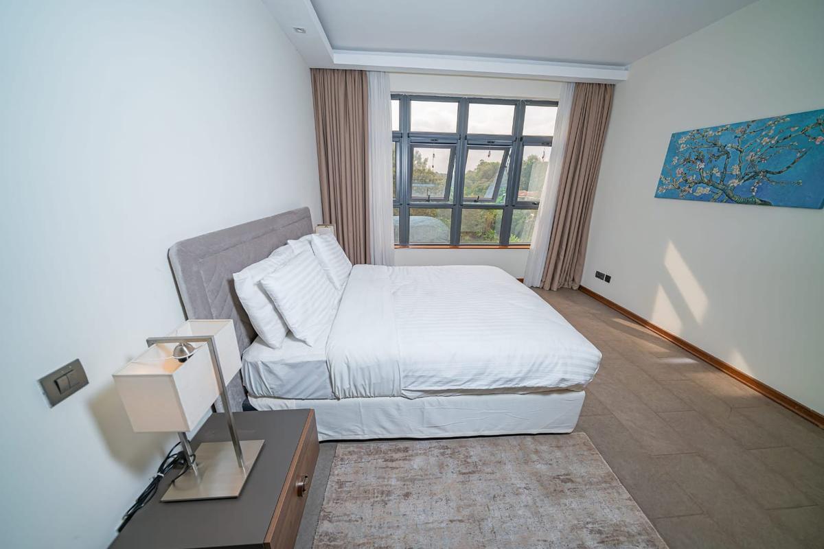 Serviced 3 Bed Apartment with En Suite in Spring Valley - 5