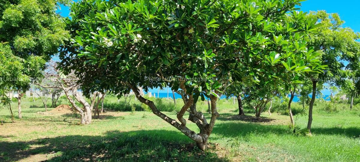 2 Bed Townhouse with En Suite in Mtwapa - 10