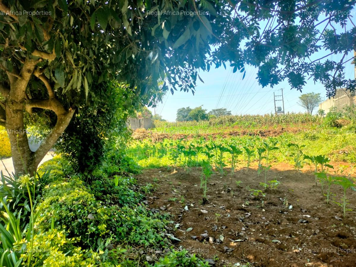 0.5 ac Land in Tigoni - 1