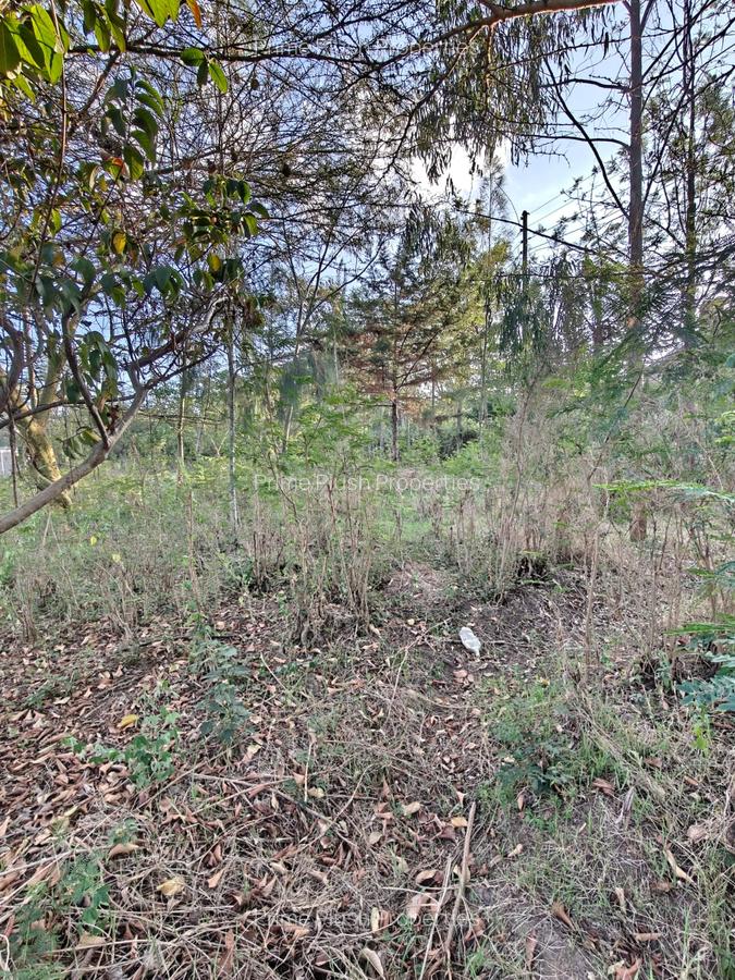 0.57 ac Land in Karen - 7