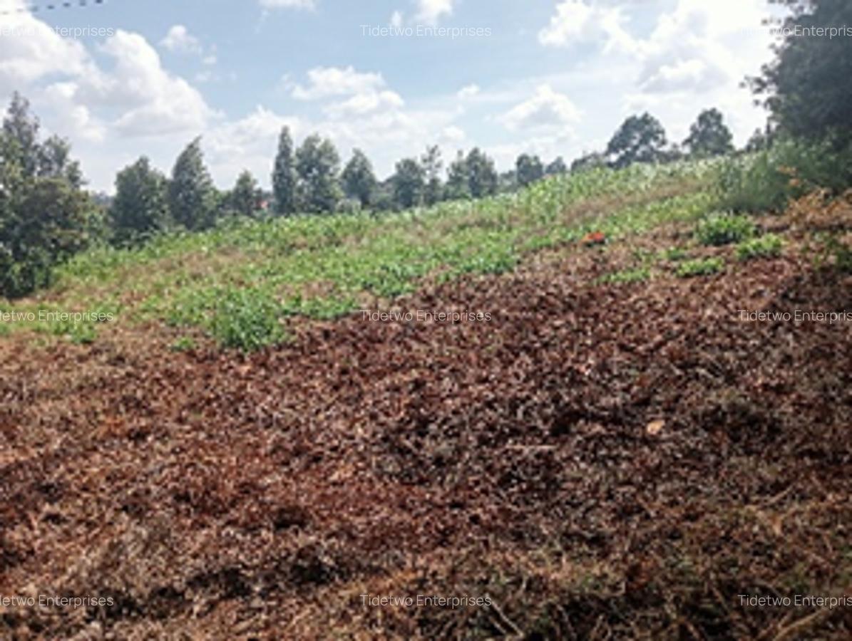 Land in Kikuyu Town - 5