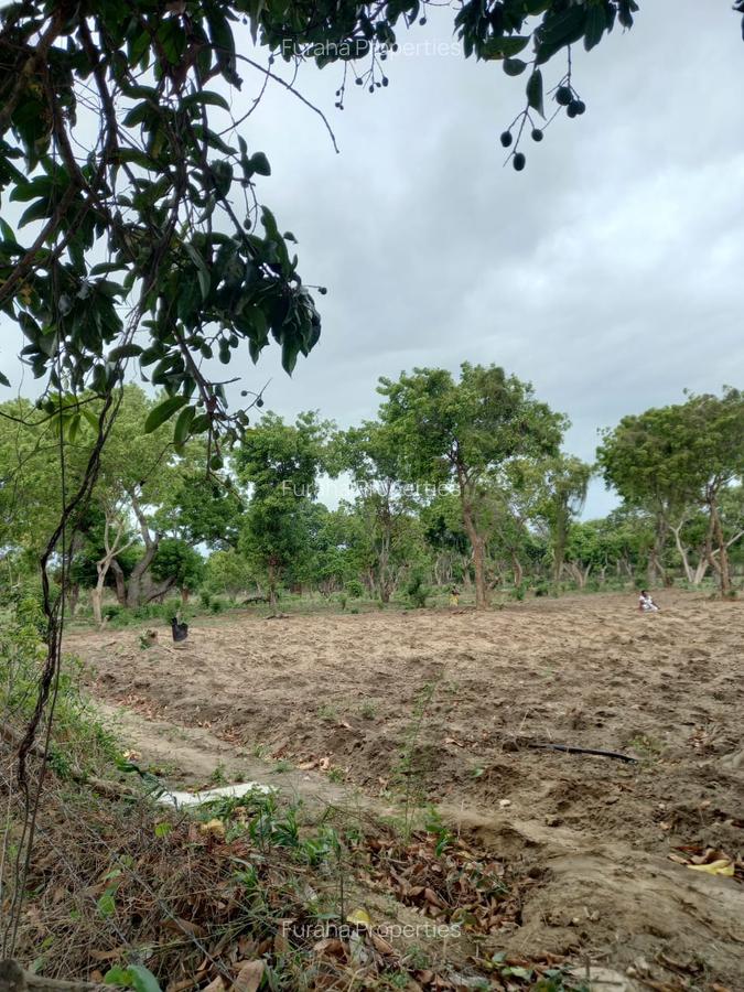 3 ac Residential Land in Kikambala - 3