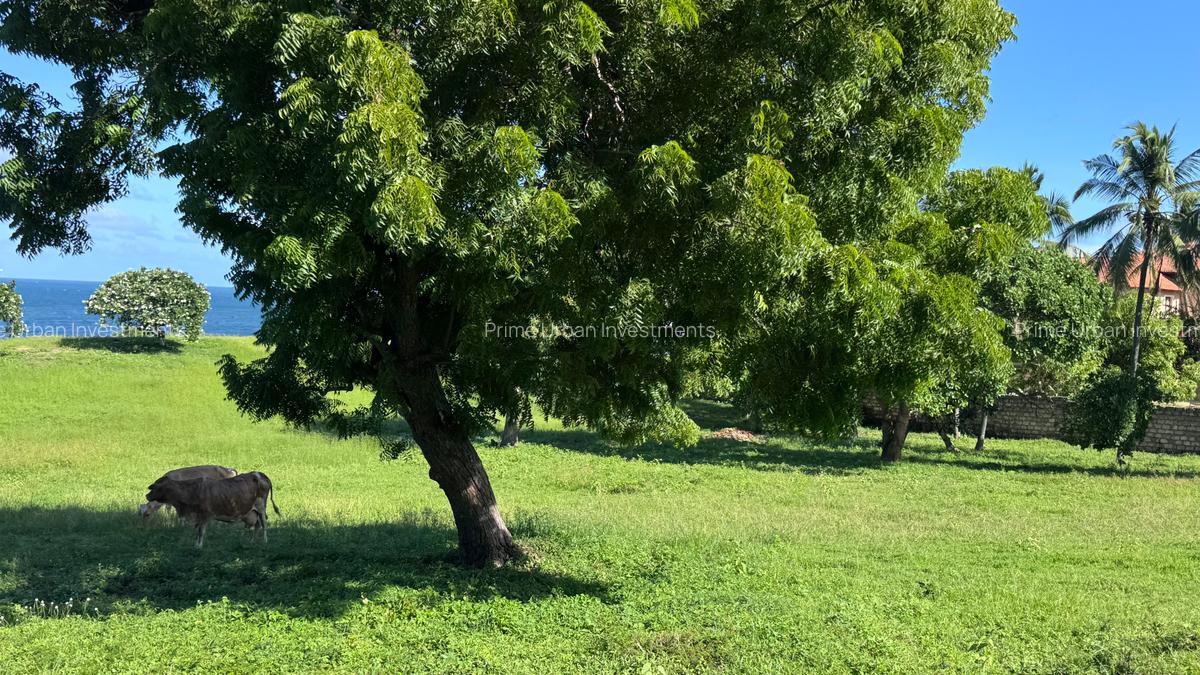 2 ac Land at Kilifi Bofa Beach - 8