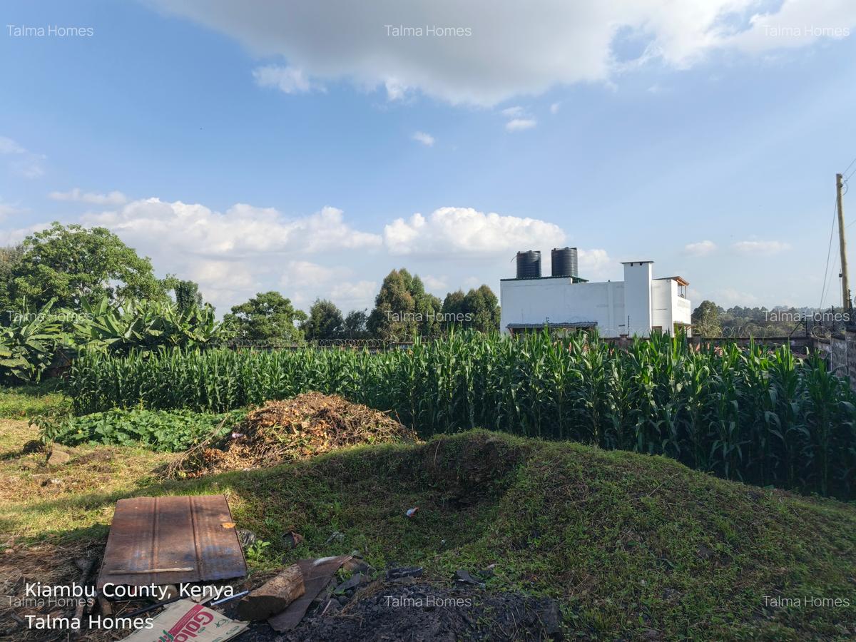 Land at Tigoni - 14
