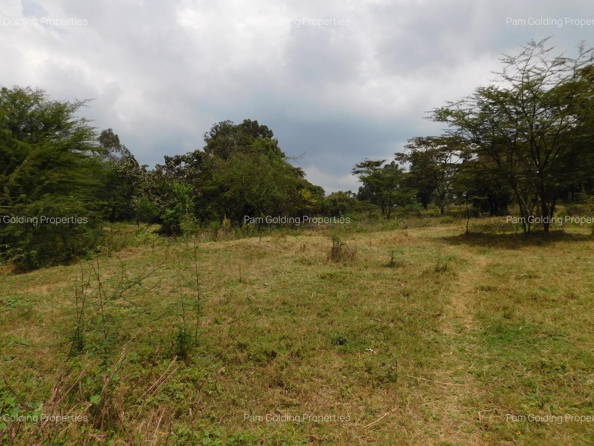 9 ac Land in Karen - 7