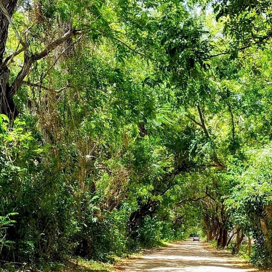 Land in Vipingo - 9