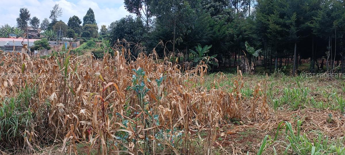 Residential Land at Gathiga - 3