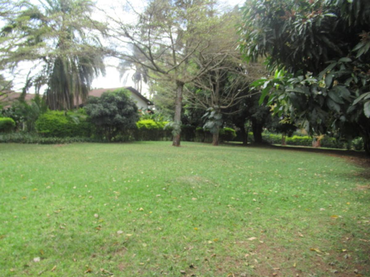 Land at Old Runda - 6