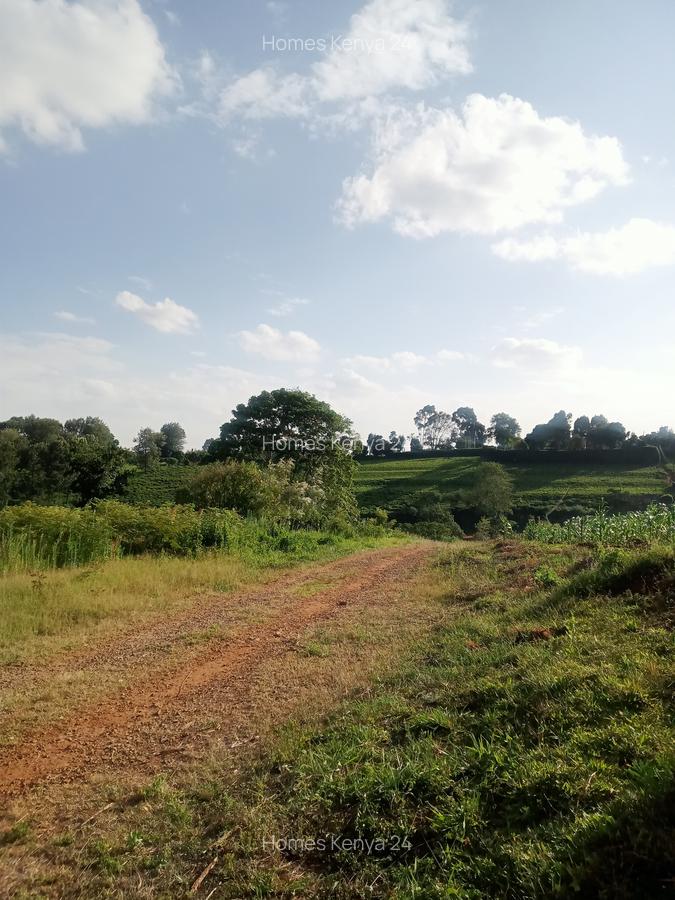 Land in Tigoni - 5