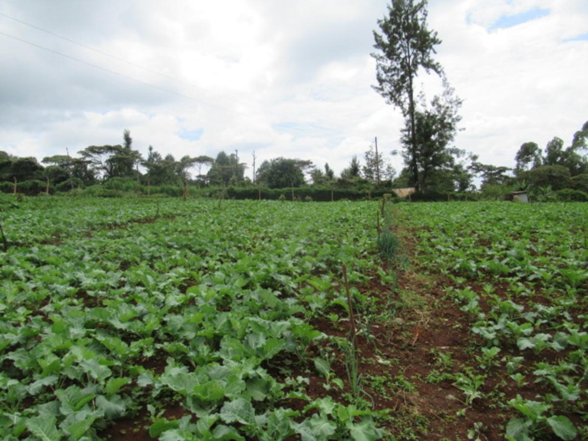 3.25 ac Land at Ngecha-Wangige Rd - 6