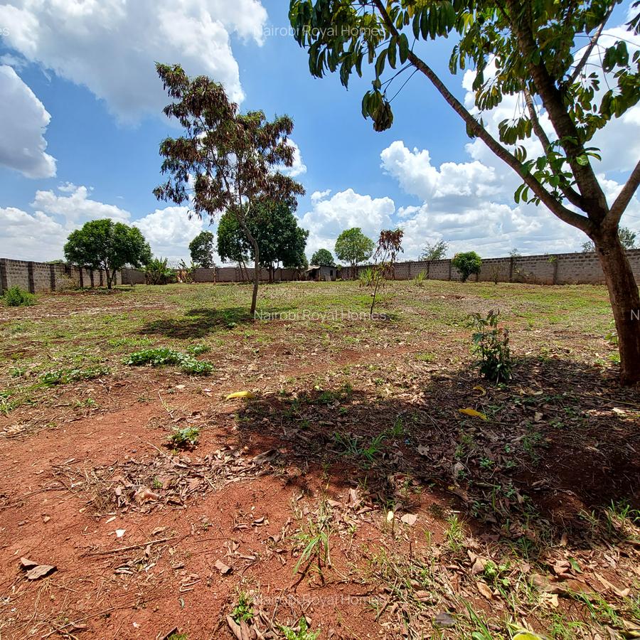 Residential Land at Flem Tree Off Ruaka Road - 18