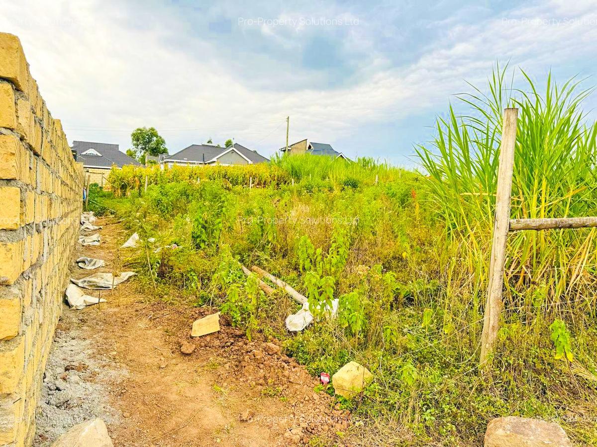 0.05 ha Residential Land at Thigio - 5