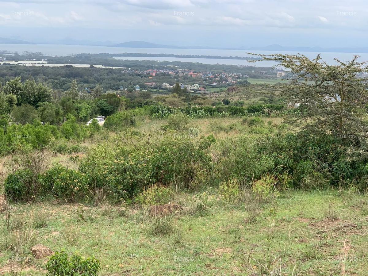 2 ac Land in Naivasha - 1