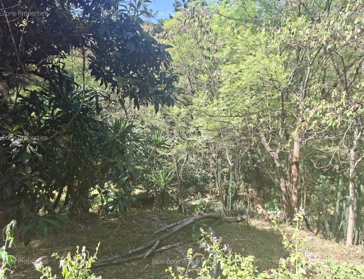 0.75 ac Residential Land at Off Naivasha Avenue - 3