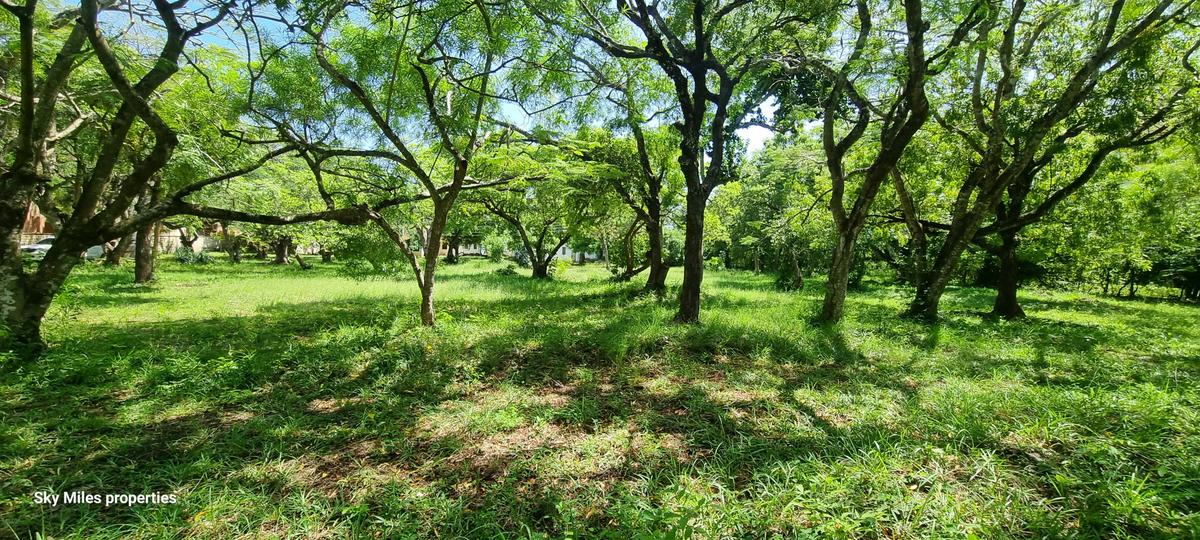 2.5 ac Land at Serena - 5