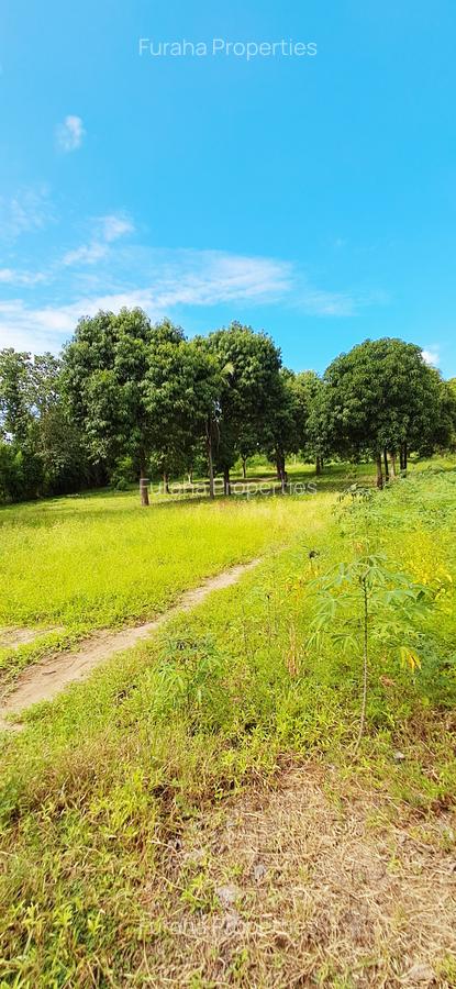 Land at Mtwapa - 7