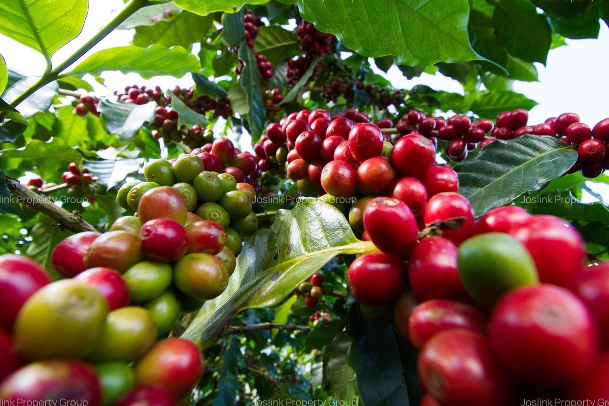 Land in Kiambu Road - 6