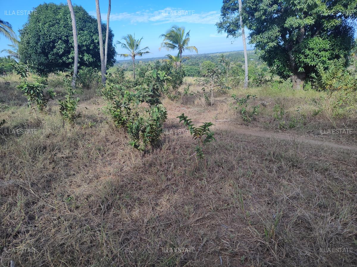 1,450 ac Land at Mabokoni - 6