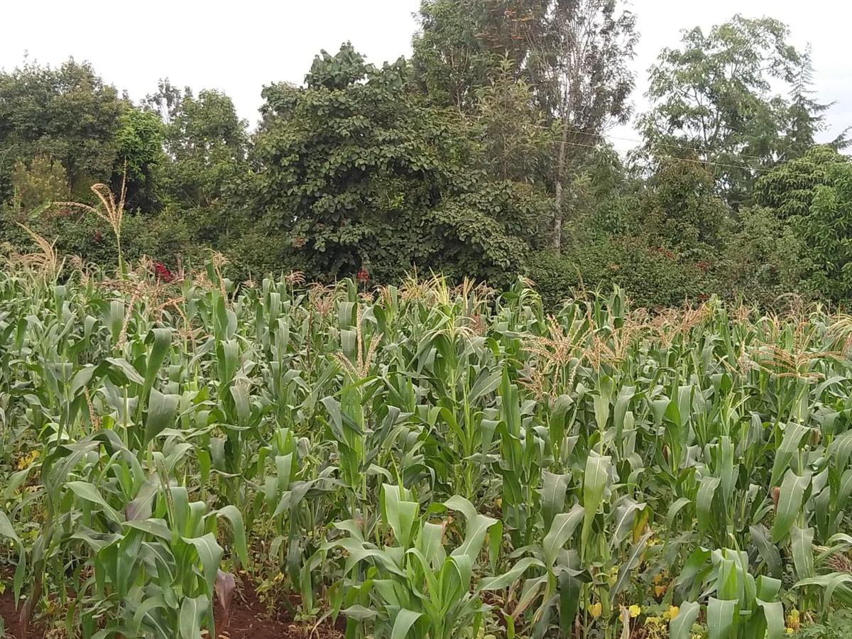 0.113 ac Residential Land in Ngong - 6