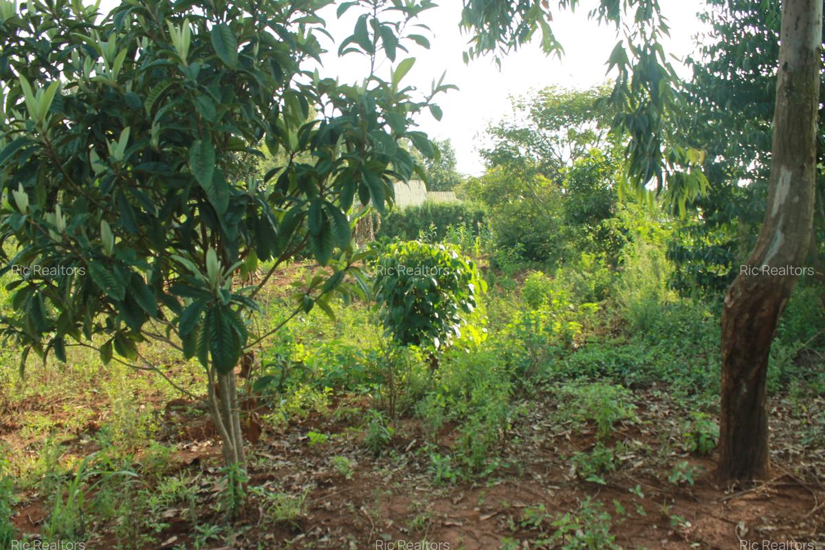 0.25 ac Land at Gikambura - 3