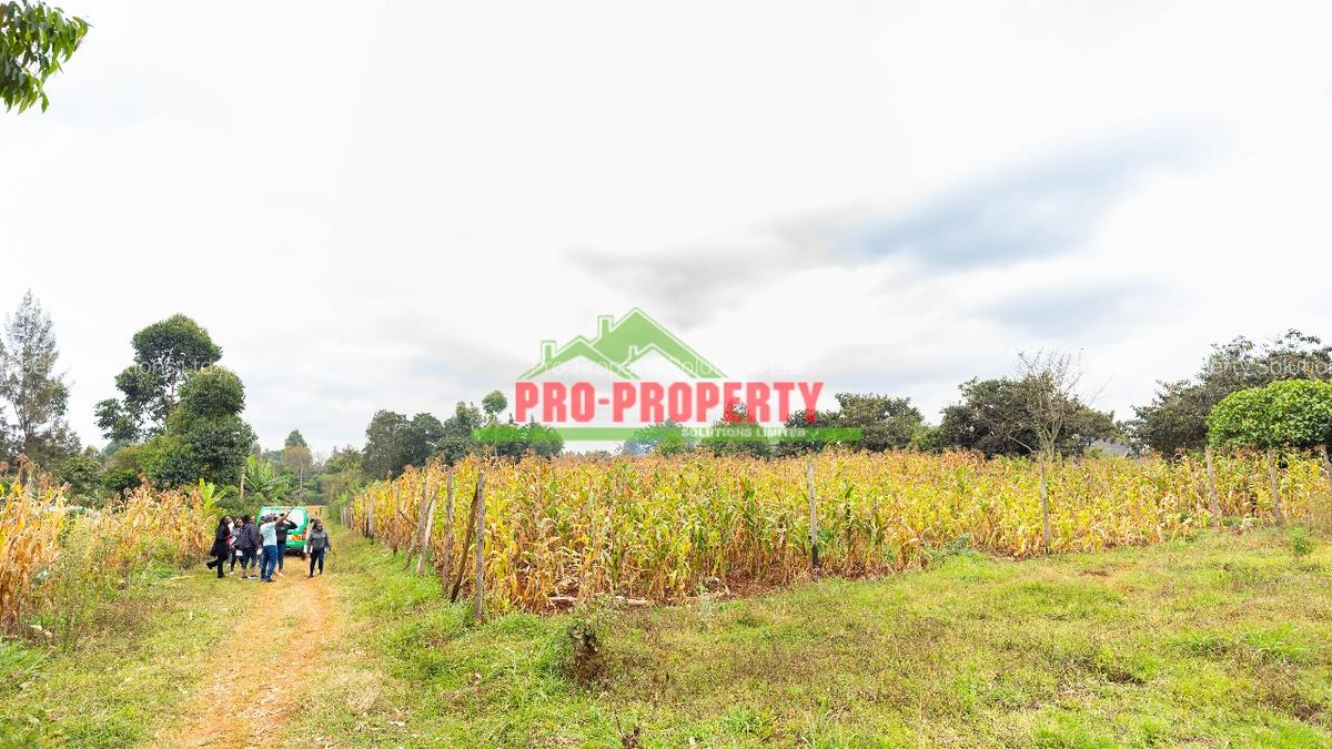 0.05 ha Residential Land in Kikuyu Town - 4