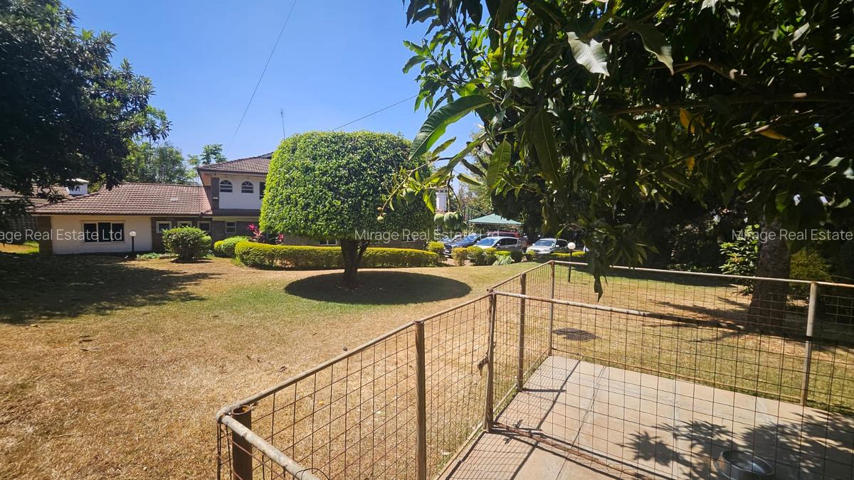 Commercial Property in Lavington - 15