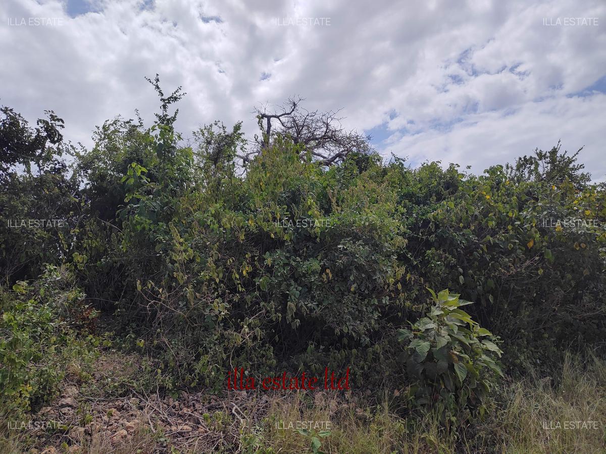 1.00 ac Residential Land at Diani Beach Road - 3