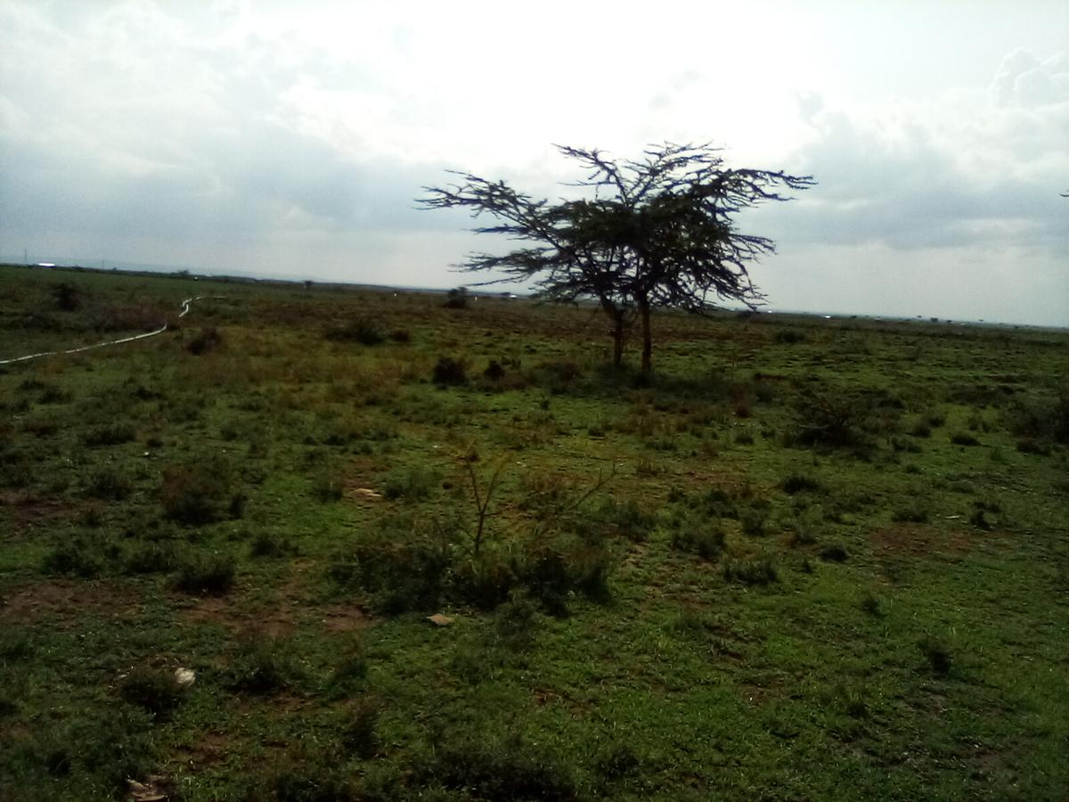 Land at Nanyuki-Rumuruti Rd - 16