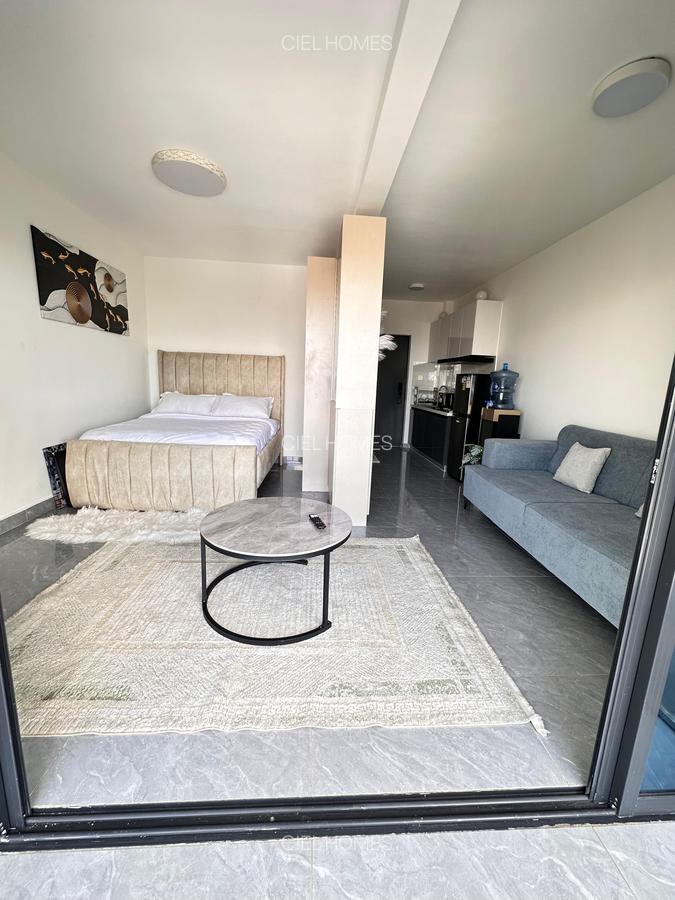 Studio Apartment with En Suite at Othaya Road - 7