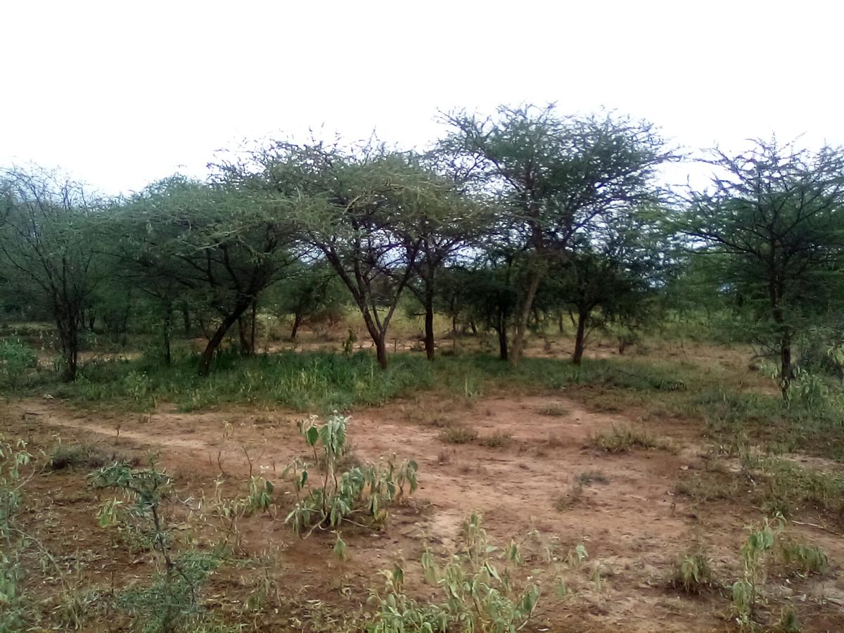 Land at Namanga Rd - 4