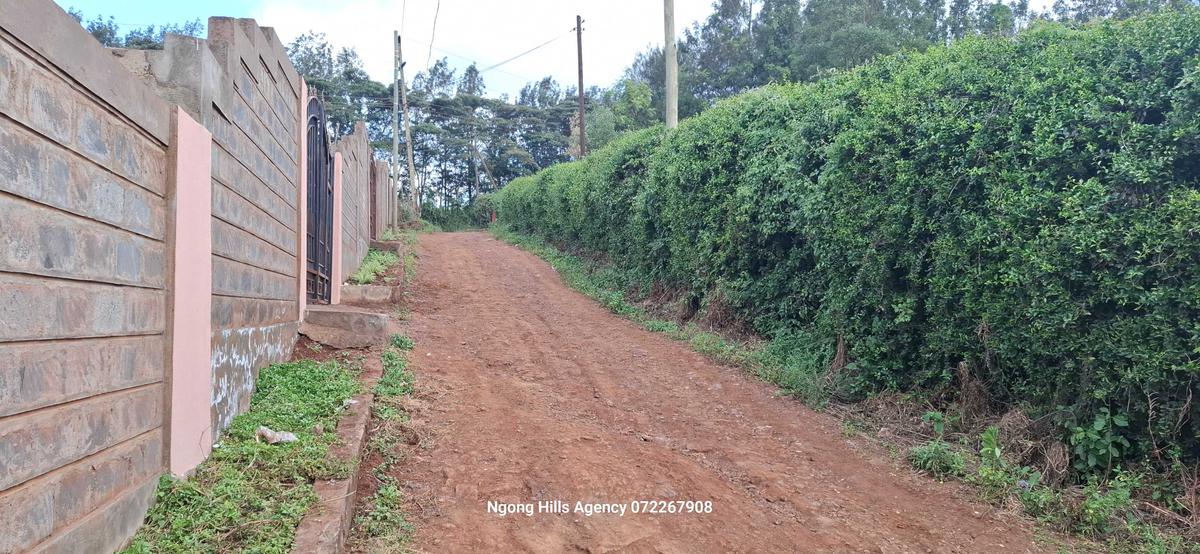 3 Bed House with En Suite in Ngong - 17