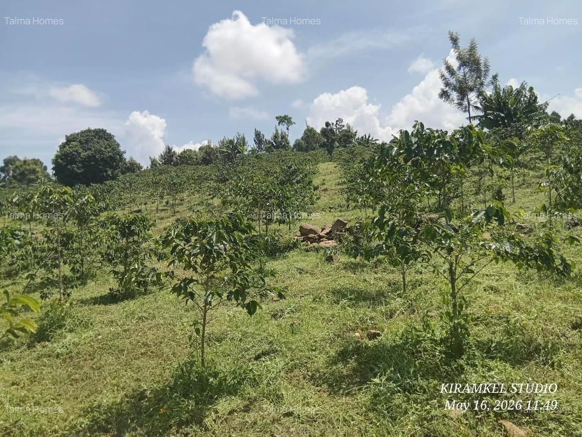 6.5 ac Land at Nandi Hills - 1