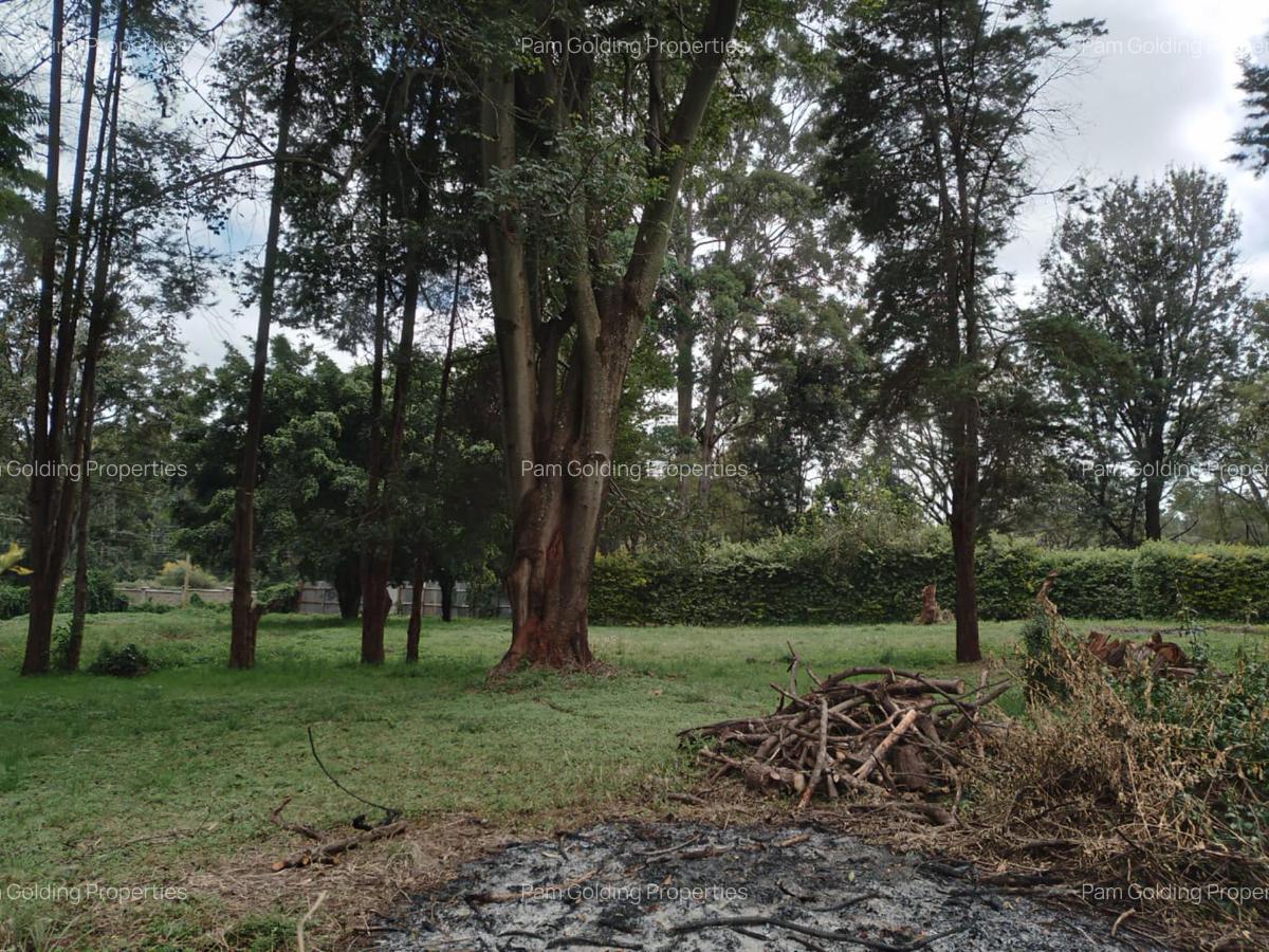 3 Bed House with En Suite in Karen - 6