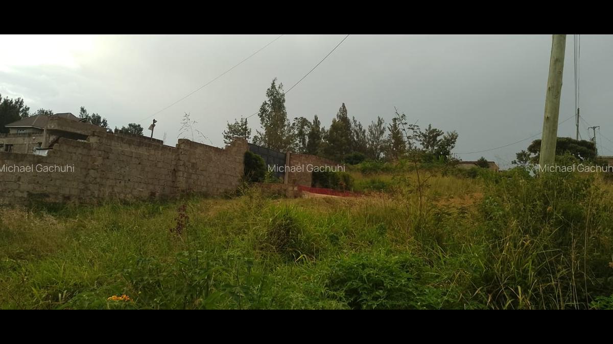 0.25 ac Land at Mugutha Ihigaini - 3