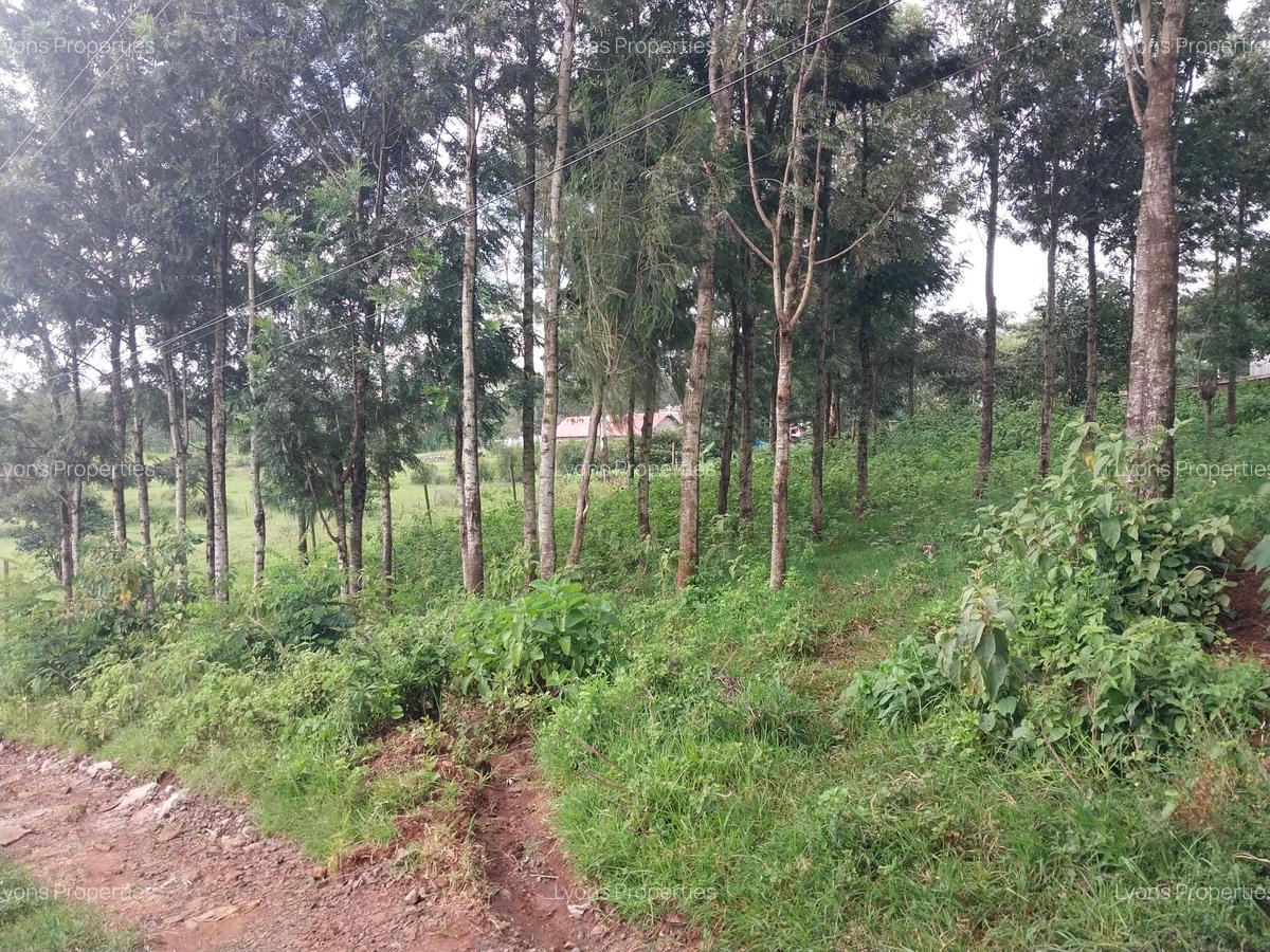 0.051 ha Land at Kibiku - 4