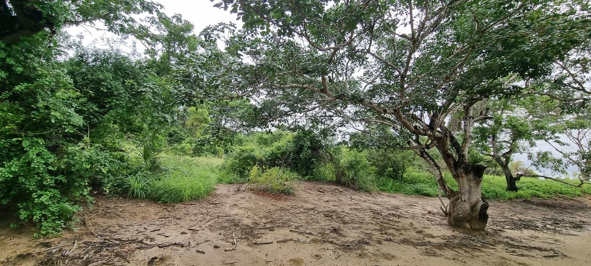 6 ac Land at Mtwapa Creekside - 15