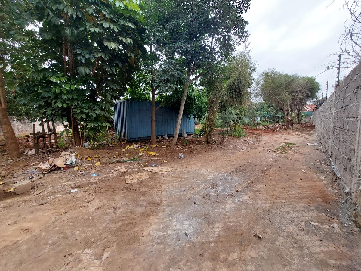 Residential Land at Mimosa Road - 2