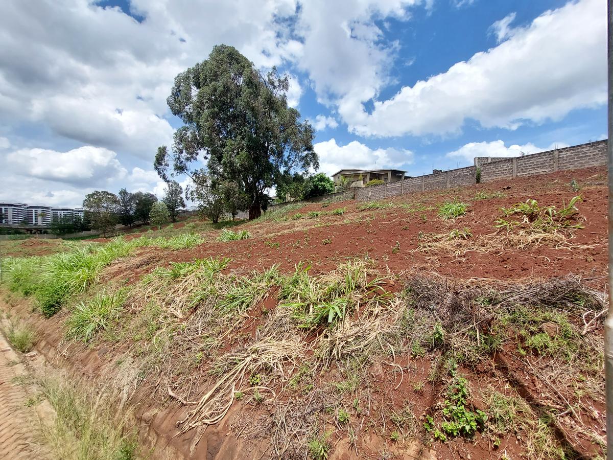 Residential Land at Rosslyn Valley - 6