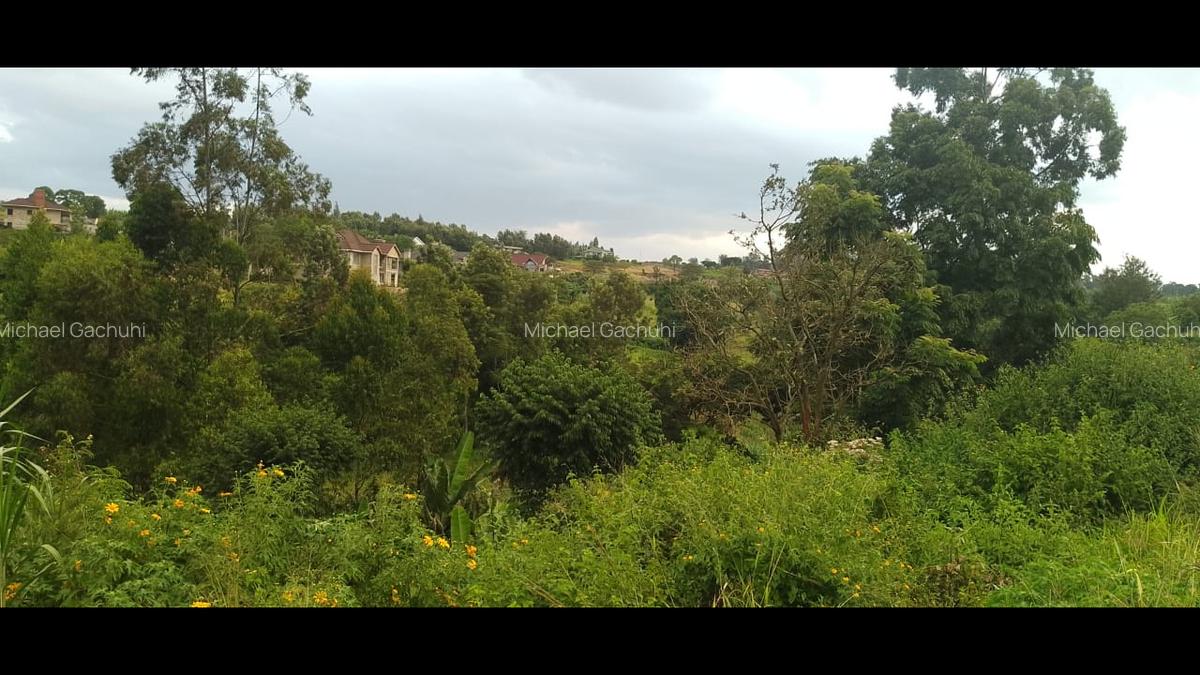 0.25 ac Land at Mugutha Ihigaini - 7