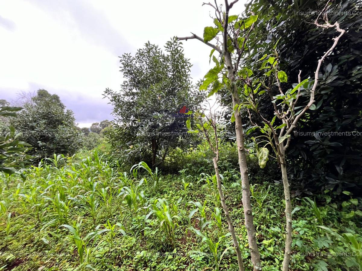 2.4 ac Land at Tigoni - 11