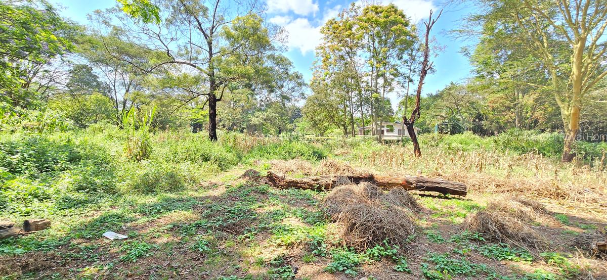 Residential Land at Shanzu Road - 20