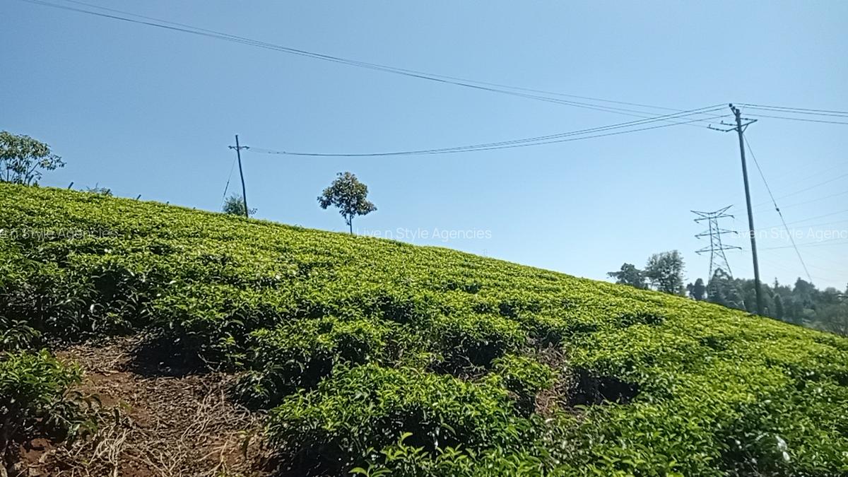Residential Land in Tigoni - 14