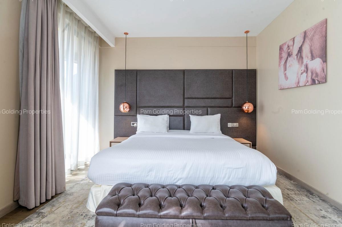 Furnished 1 Bed Apartment with En Suite in Mombasa Road - 12
