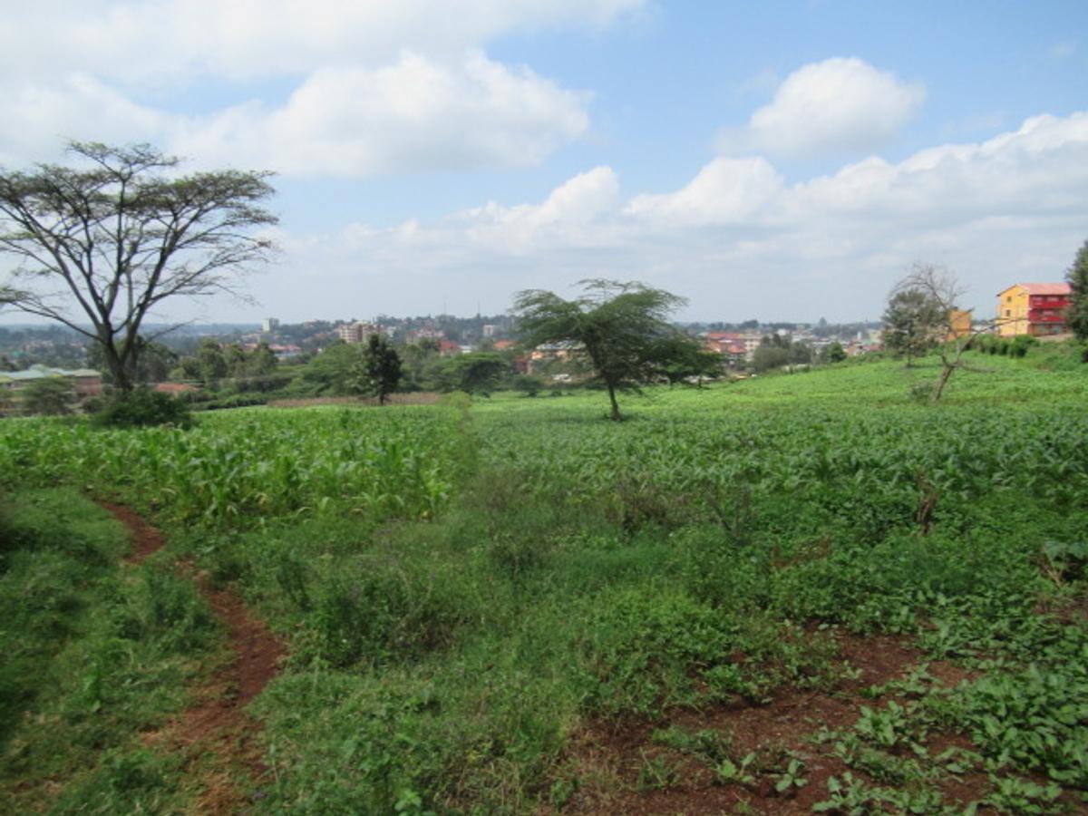 Land at Ngong Town - 4