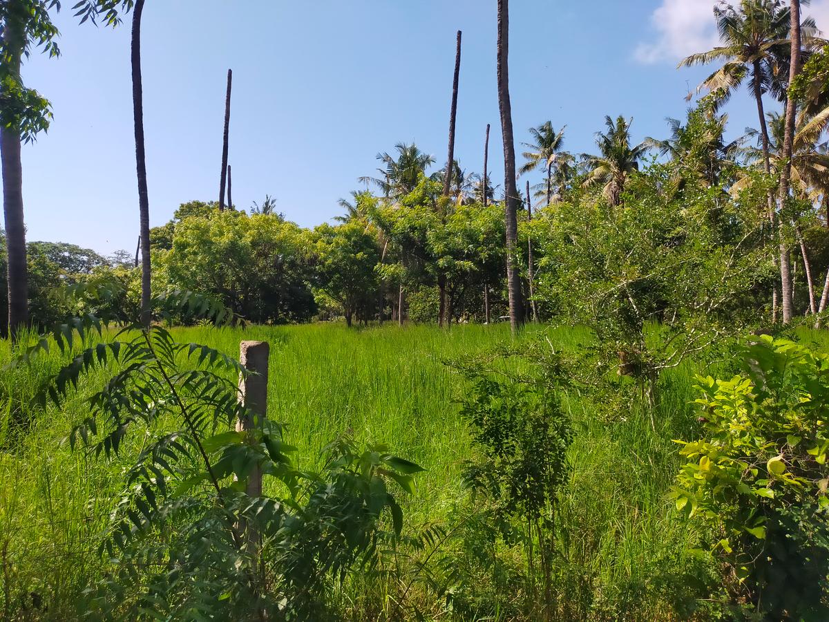 Land in Kilifi County - 6