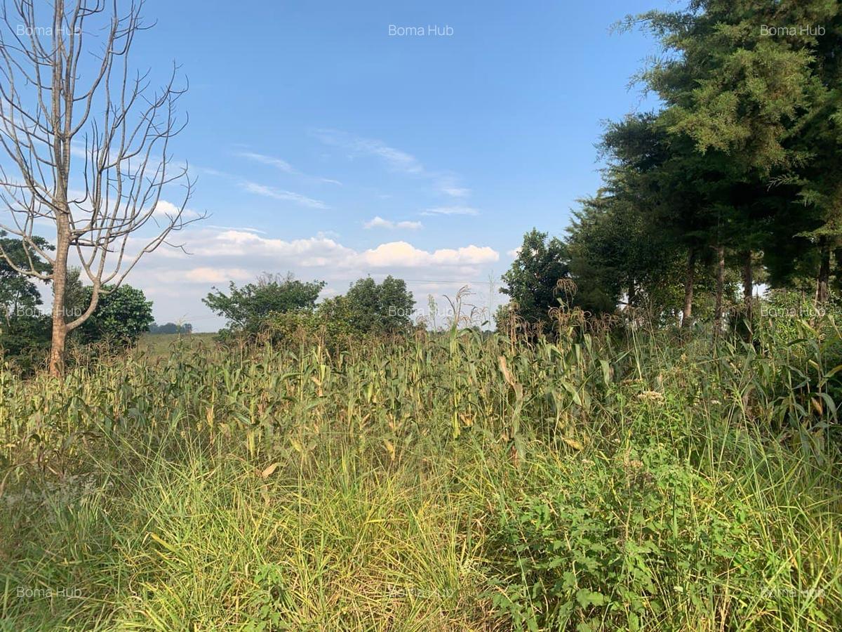 0.5 ac Land at Kiganjo Junction - 4