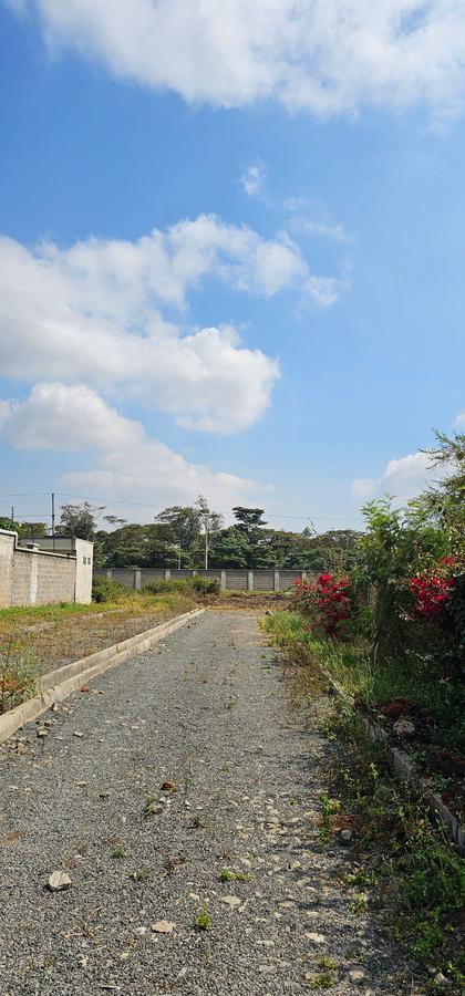 Land at Mokoiyeti West Rd - 3